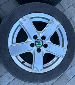 Литые диски Skoda с шинами (5x100) (5 фото из 5)