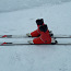 Лыжи gornie TECNO Pro (фото #1)
