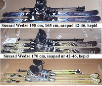 Горные лыжи 146-170 см, горнолыжные ботинки № 38-46.