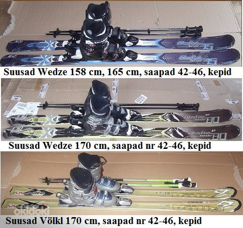 Горные лыжи 146-170 см, горнолыжные ботинки № 38-46. (фото #1)