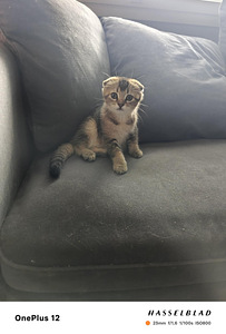 Kaksi ihanaa poikaa vielä vapaana! (3 valokuva sivusta 7)