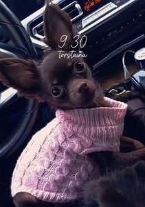 Venäjäntoy (4 valokuva sivusta 4)