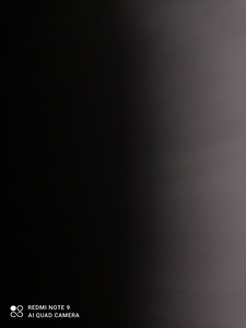 Dekoratiivsed hiired (3 foto / 8)