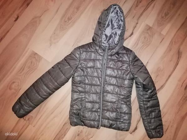 Terranova куртка, размер S (фото #1)