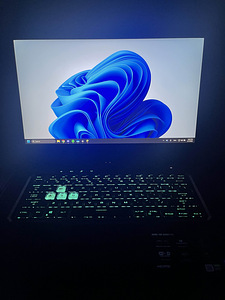 ASUS TUF Dash F15 (1 foto / 1)