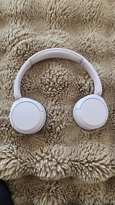 Sony WH-CH520 (roosa, roosa) (1 foto / 1)