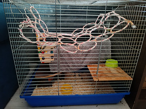 Näriliste puur 58x38x57.5cm (1 foto / 1)