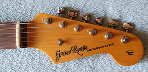 ESP GrassRoots Stratocaster (5 foto / 6)