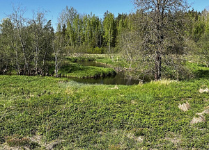 Maretsaare, Kõveriku, Mustvee vald, Jõgevamaa (7 фото из 10)