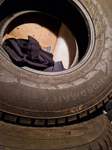 Nokian Nordman 7 SUV 235/75/15 Talv (4 foto / 5)