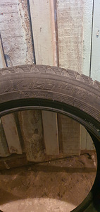 205/55/16 Michelin X - ice north 2 (3 foto / 4)