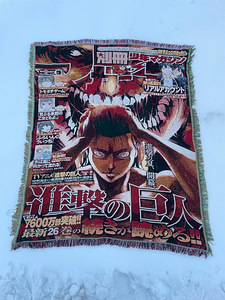 Attack On Titan | Anime Rug (3 foto / 3)