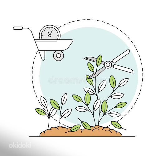 Dārzkopība un augu kopšana