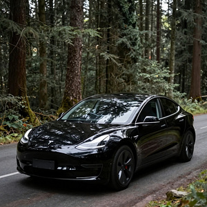 Tesla Transfeer Tallinn (1 foto / 1)