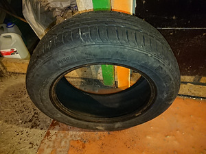 Suverehvid 4tk (10 foto / 10)
