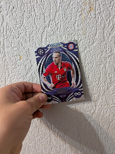 Franck Ribery (1 фото из 1)