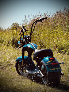 Praktiliselt uus elektriline Chopper (2 foto / 2)