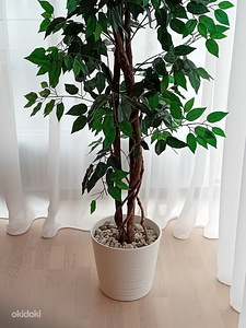 Kunstpuu + IKEA lillepott (2 foto / 3)