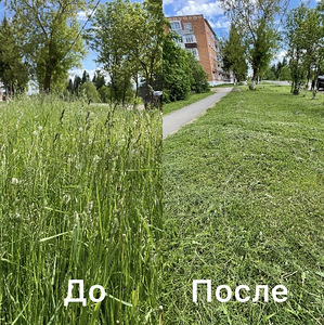 ПОКОС ТРАВЫ. УБЕРУ ЛЮБОЙ УЧАСТОК ЗА 1 ДЕНЬ! (3 фото из 3)