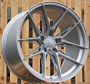R20x9  5X120  ET  33  72.6  HX036  (B5597)  Silver Shining (SS)  For HAXER  (P)  (Rear+Front) (1 foto / 1)