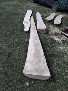 Tamme plangud (5 foto / 10)