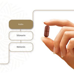 Liverta Forte N60 tabletid (3 foto / 4)