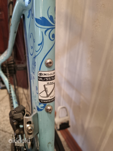 Triatloni- eraldistardi jalgratas BLUE 55,5cm (foto #2)