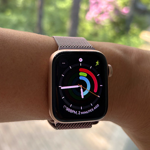 Apple Watch SE (1-го поколения) 40 мм GPS Rose Gold + миланский ремешок (2 фото из 7)