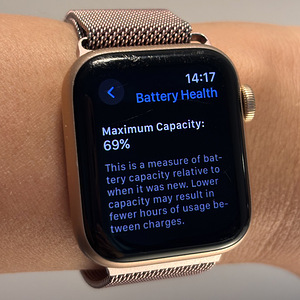 Apple Watch SE (1-го поколения) 40 мм GPS Rose Gold + миланский ремешок (6 фото из 7)