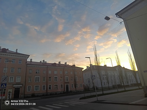 Koerte jalutamine, Kopli piirkonnas (2 foto / 2)