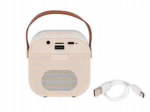 Bluetooth karaoke komplekt (3 foto / 9)