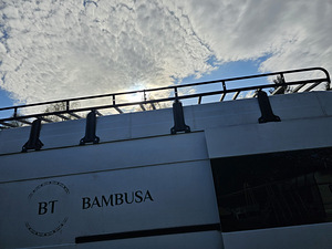 Pagasiruumi , katuse raam (2 foto / 4)
