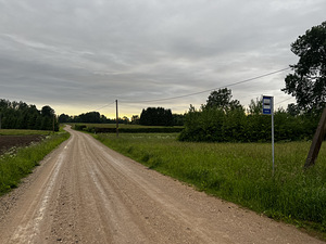 Kullerkupu tn, Tammiste, Tori vald, Pärnumaa (2 foto / 8)