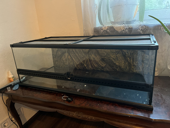 Terraarium