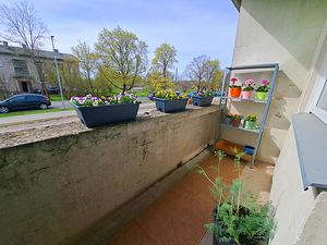 Turba tee 2, Lehetu, Saue vald, Harjumaa (16 foto / 23)