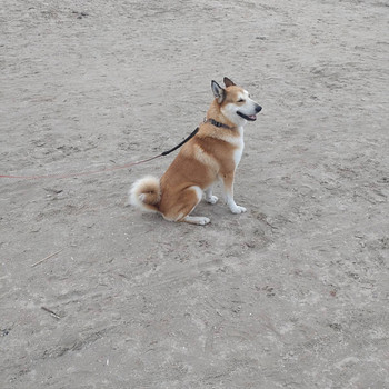 Рей,ждёт девочку.