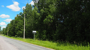 Elamumaa 2507 m2 Peipsi järve ääres detailplaneeringuga (2 foto / 4)