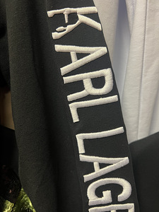 Karl lagerfeld (2 foto / 3)