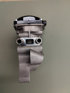 Egr Nissan (3 foto / 7)
