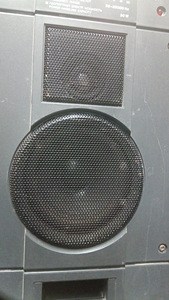 Radiotehnika kõlarid (paar) (5 foto / 10)