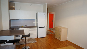 Meeliku tn 23, Lasnamäe, Tallinn, Harjumaa (3 foto / 8)