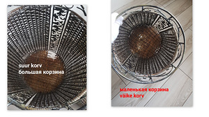 Vitstest korvid metallraamil (3 foto / 6)