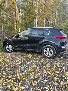 Kia Sportage (4 foto / 14)