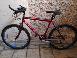 Jalgrattas Classic Legend 26 1.75 (1 foto / 3)