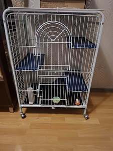 Puuri närilistele või papagoidele (1 foto / 2)