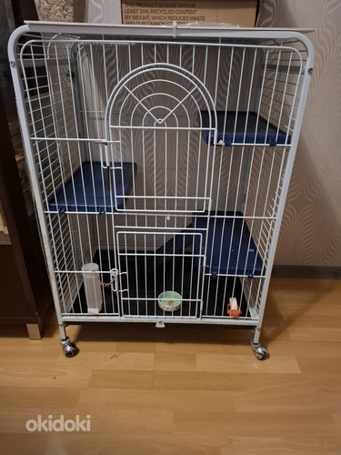 Puuri närilistele või papagoidele