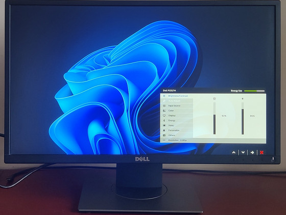 Dell P2317H