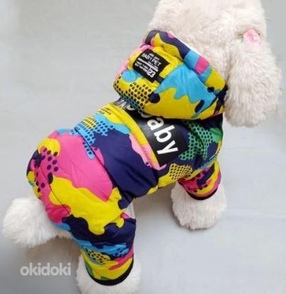 Новая зимняя одежда для собак / одежда для собак размер S (фото #1)