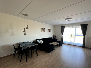 Priisle tee 2, Lasnamäe, Tallinn, Harjumaa (15 foto / 15)