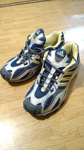 Кроссовки Adidas (1 фото из 4)